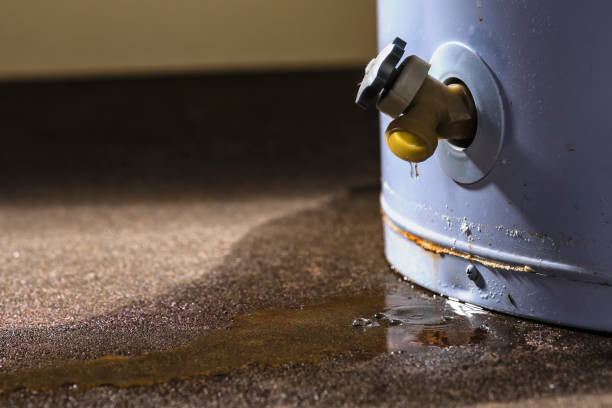 Best Flood restoration services  in Dublin, VA