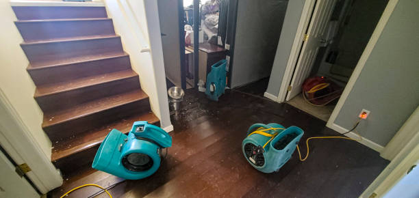 Best Carpet water damage restoration  in Dublin, VA