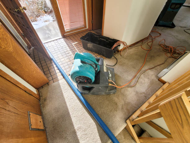 Best 24-hour water damage restoration  in Dublin, VA
