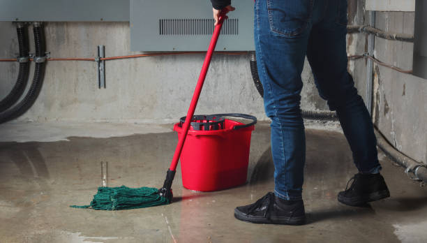 Best Water damage restoration near me  in Dublin, VA