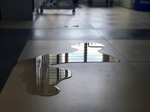 Best Professional water damage repair  in Dublin, VA