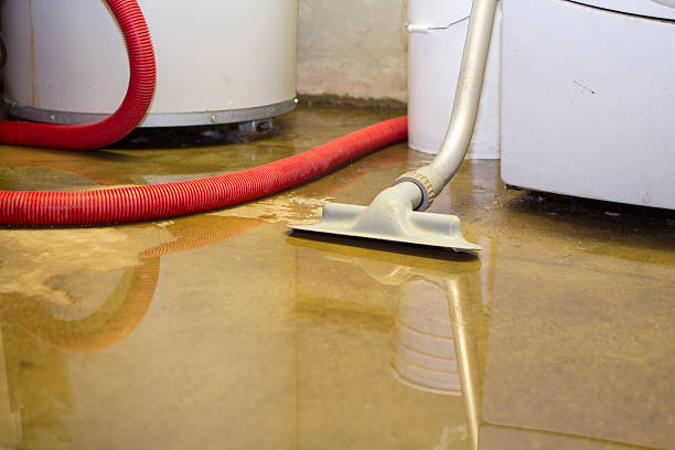 Best Flood restoration services  in Dublin, VA