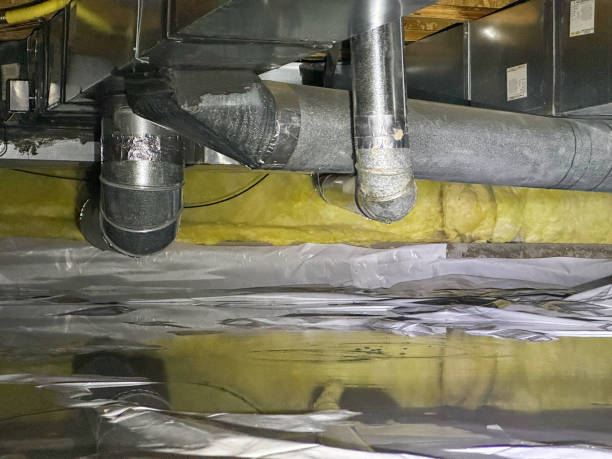 Best Mold removal after water damage  in Dublin, VA