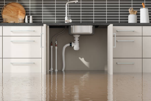 Best Water damage cleanup near me  in Dublin, VA