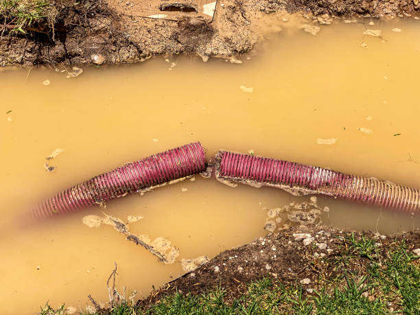 Best Water damage contractors near me  in Dublin, VA